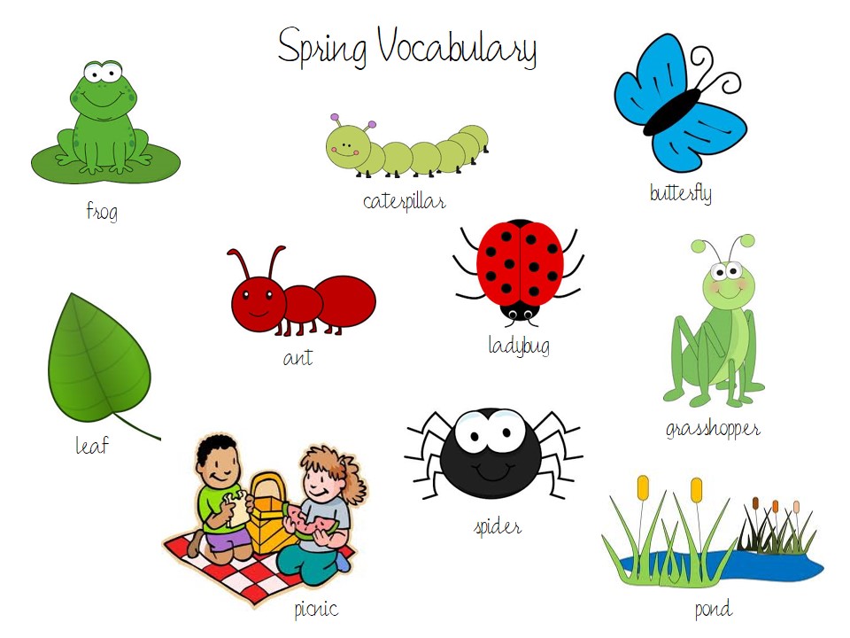 Spring с английского на русский. Spring для детей. Spring Vocabulary.